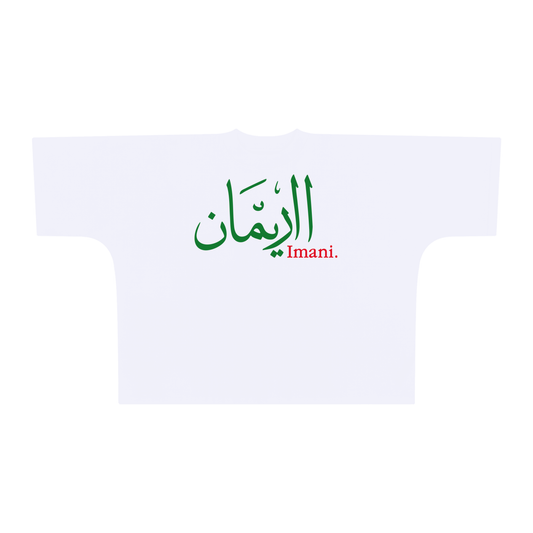 Imani Oversized One-Piece Boxy T-Shirt